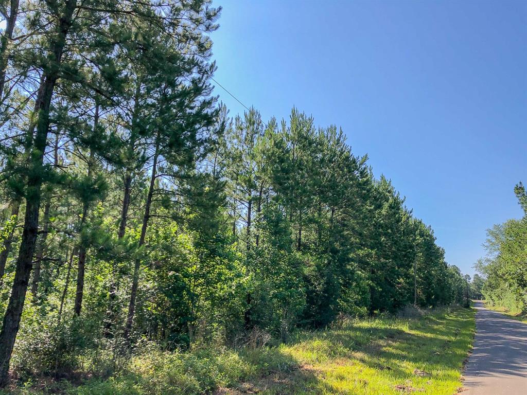 00 Cr 367, Zavalla, Texas image 9