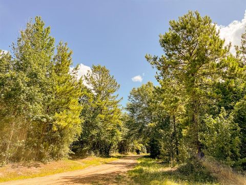 Vacant Land For Sale - 00 Cr 367<br/> Zavalla, TX 75980