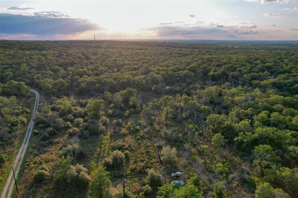 1420 Kothmann Drive, Seguin, Texas image 11