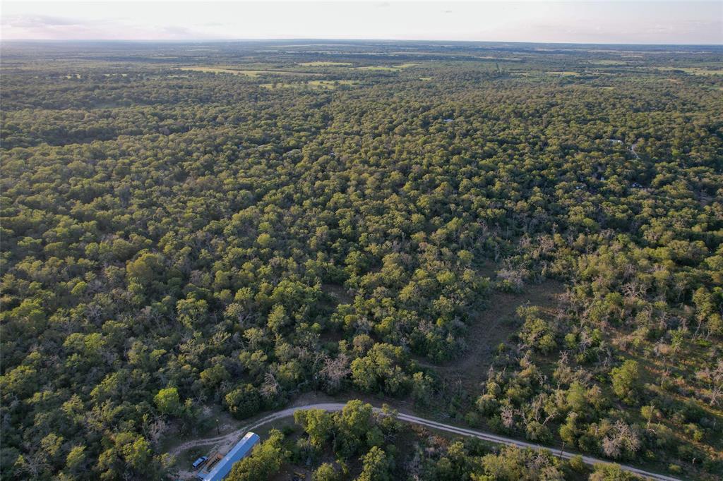 1420 Kothmann Drive, Seguin, Texas image 10