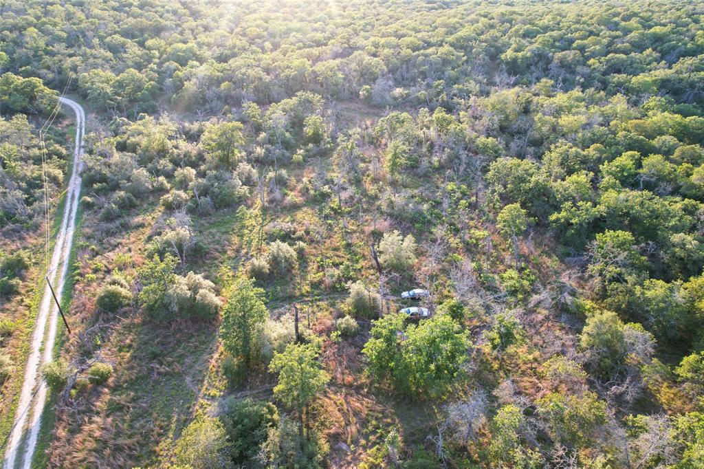 1420 Kothmann Drive, Seguin, Texas image 13