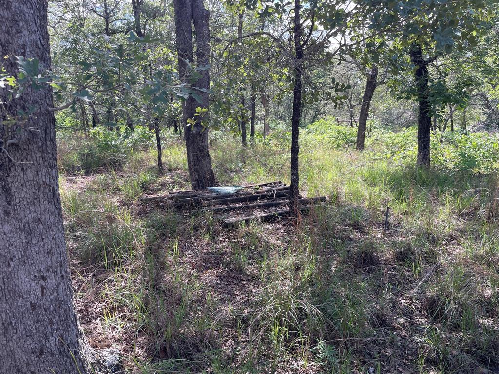 1420 Kothmann Drive, Seguin, Texas image 24