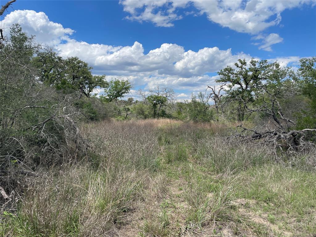 1420 Kothmann Drive, Seguin, Texas image 17