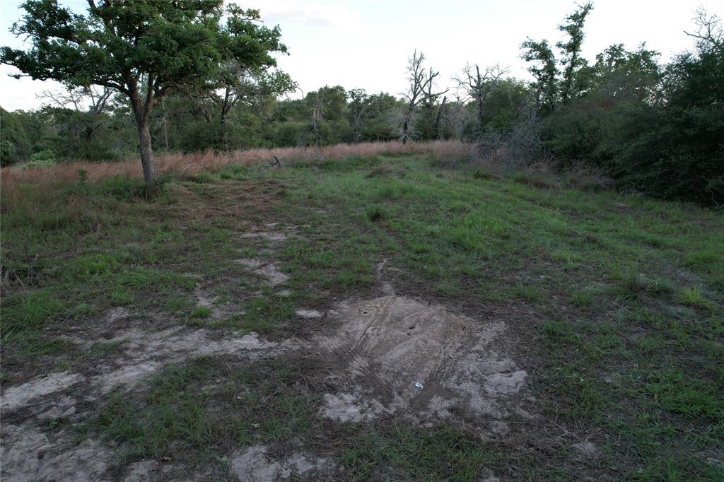 1420 Kothmann Drive, Seguin, Texas image 12