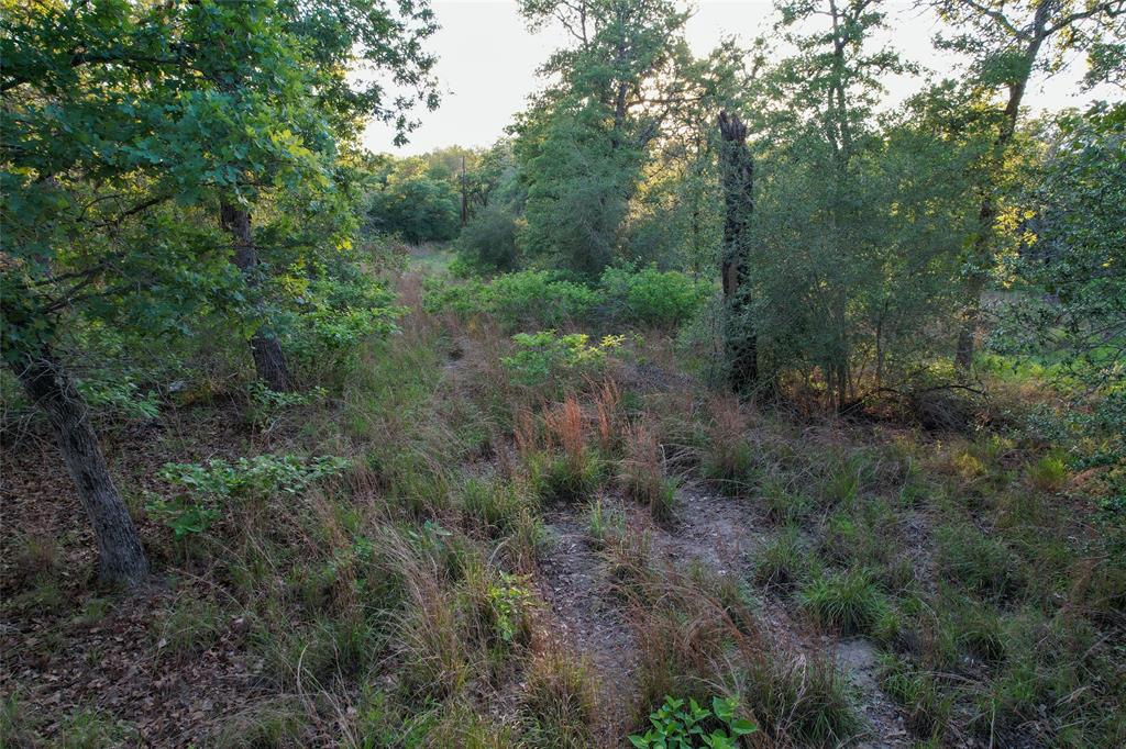 1420 Kothmann Drive, Seguin, Texas image 18