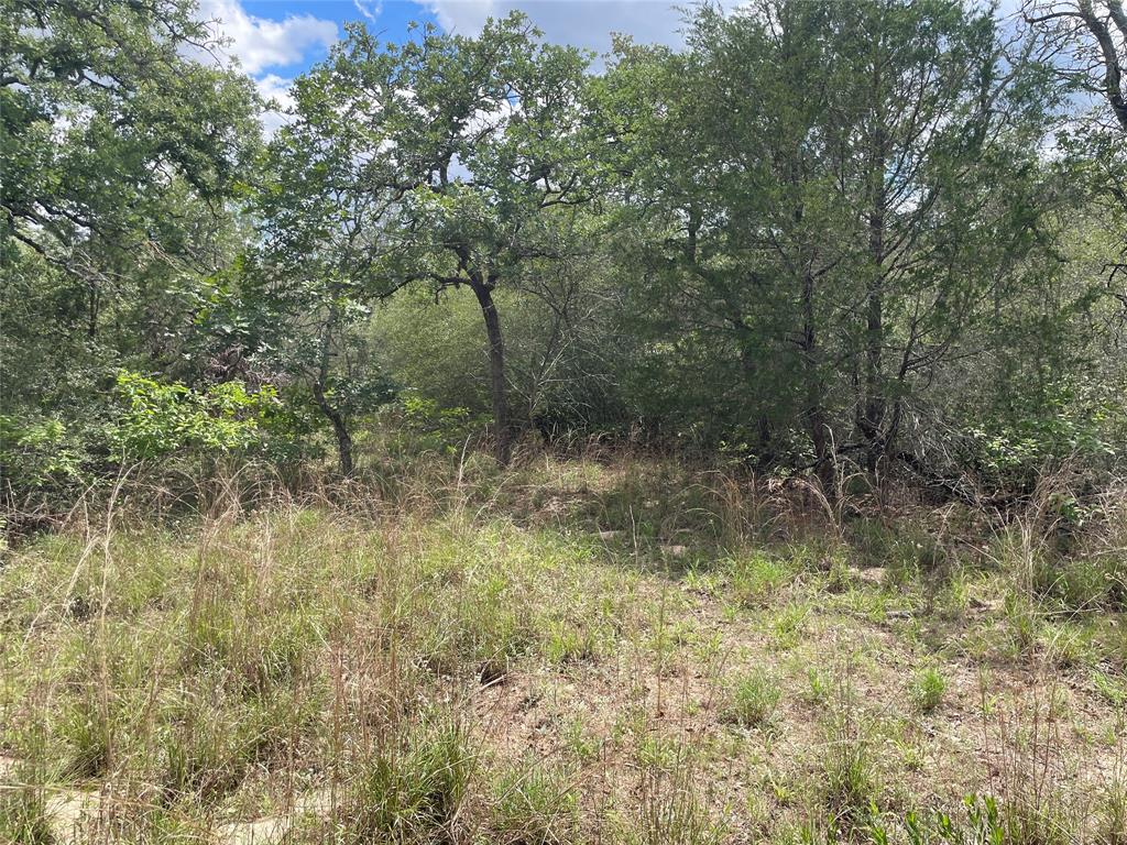 1420 Kothmann Drive, Seguin, Texas image 19
