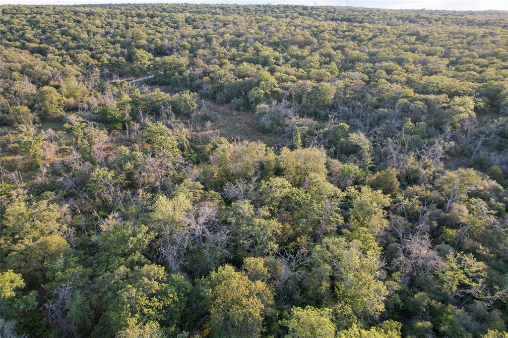1420 Kothmann Drive, Seguin, Texas image 15
