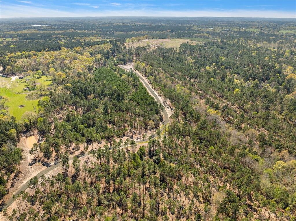 492 Piney Creek Estates Road, Timpson, Texas image 4
