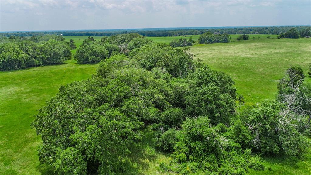 Lot 29 (5 Acres) Legacy Road, Somerville, Texas image 4