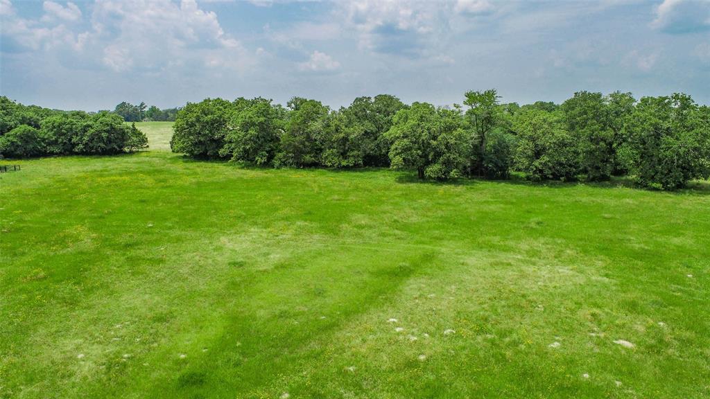 Lot 29 (5 Acres) Legacy Road, Somerville, Texas image 8