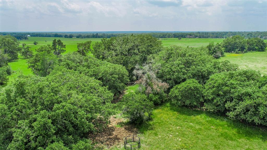 Lot 29 (5 Acres) Legacy Road, Somerville, Texas image 9