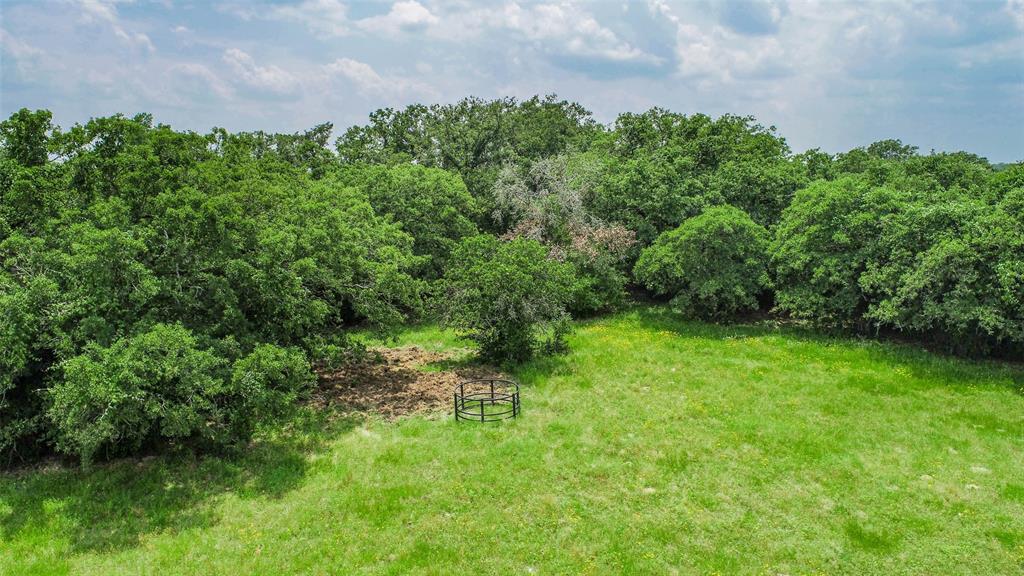 Lot 29 (5 Acres) Legacy Road, Somerville, Texas image 11