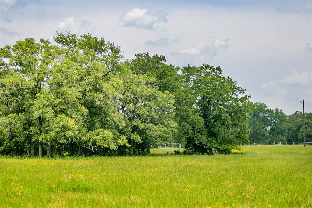 Lot 29 (5 Acres) Legacy Road, Somerville, Texas image 3