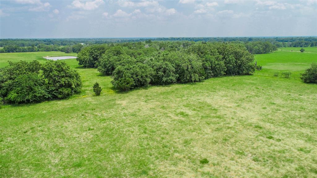 Lot 29 (5 Acres) Legacy Road, Somerville, Texas image 14