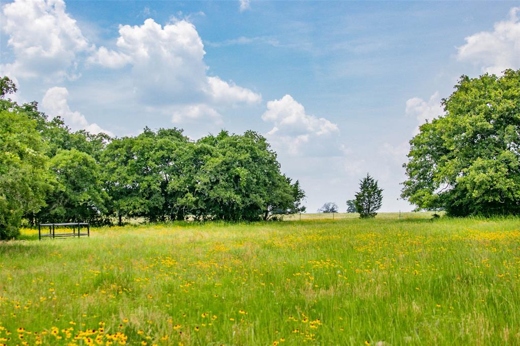 Lot 29 (5 Acres) Legacy Road, Somerville, Texas image 7