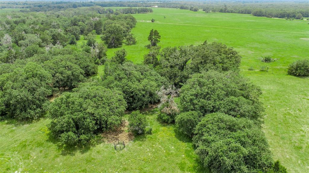 Lot 29 (5 Acres) Legacy Road, Somerville, Texas image 5