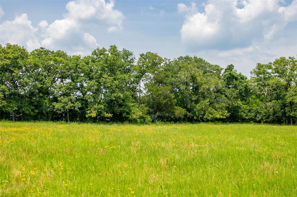 Lot 29 (5 Acres) Legacy Road, Somerville, Texas image 16