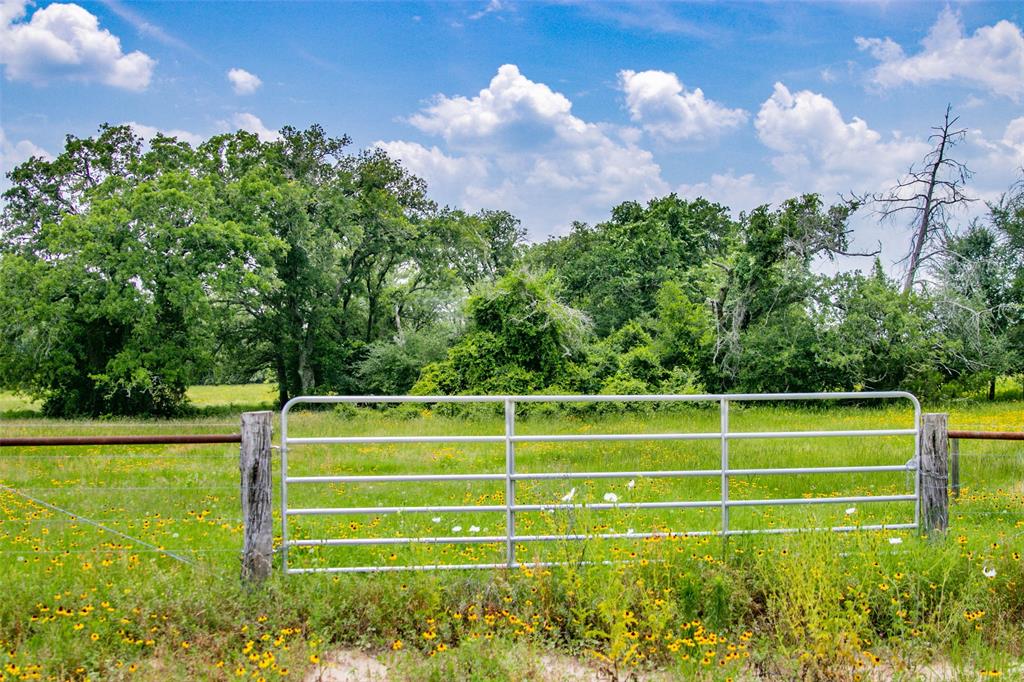 Lot 29 (5 Acres) Legacy Road, Somerville, Texas image 1