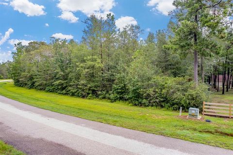 21188 Grant Lake Circle Cleveland TX 77328