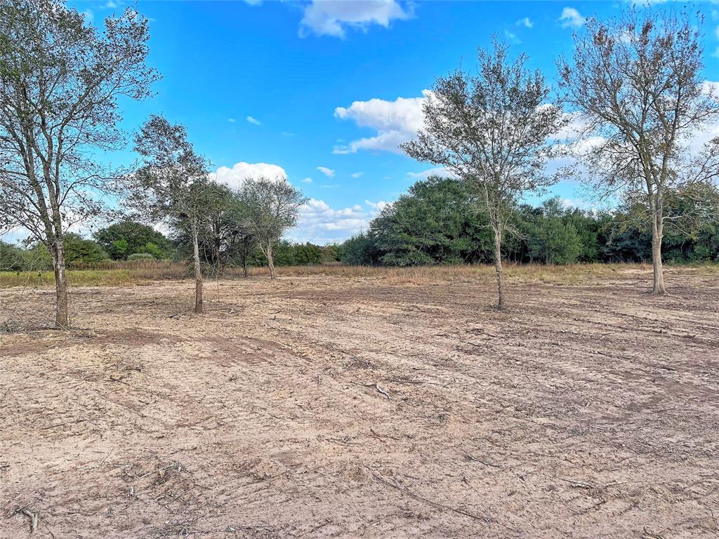 Tract 2 Hwy 71 South / Cr 102, Columbus, Texas image 1