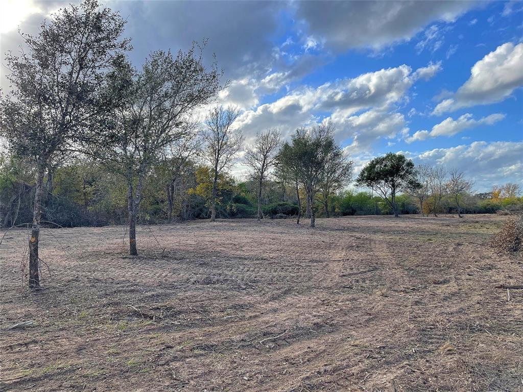 Tract 2 Hwy 71 South / Cr 102, Columbus, Texas image 10