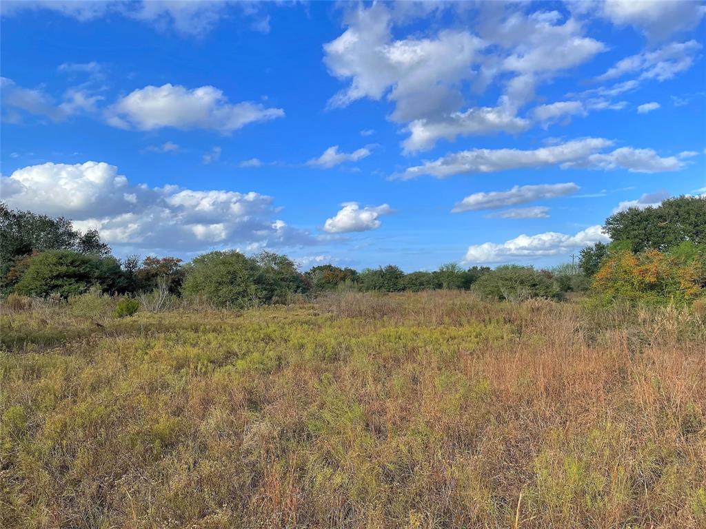 Tract 2 Hwy 71 South / Cr 102, Columbus, Texas image 7