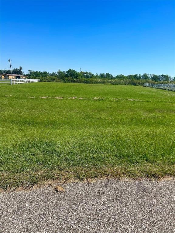 17327 Lake Ridge Circle, Rosharon, Texas image 6