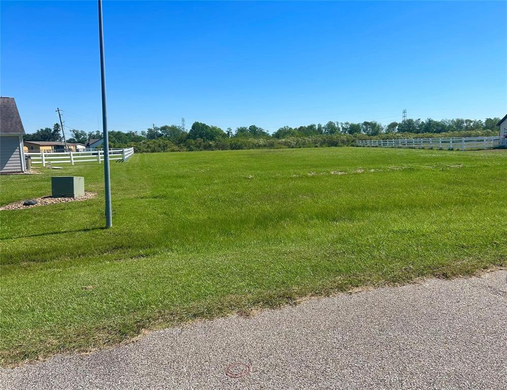 17327 Lake Ridge Circle, Rosharon, Texas image 1