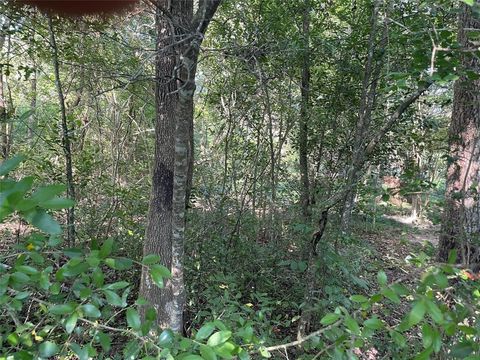 tbd hoda Drive Conroe TX 77318