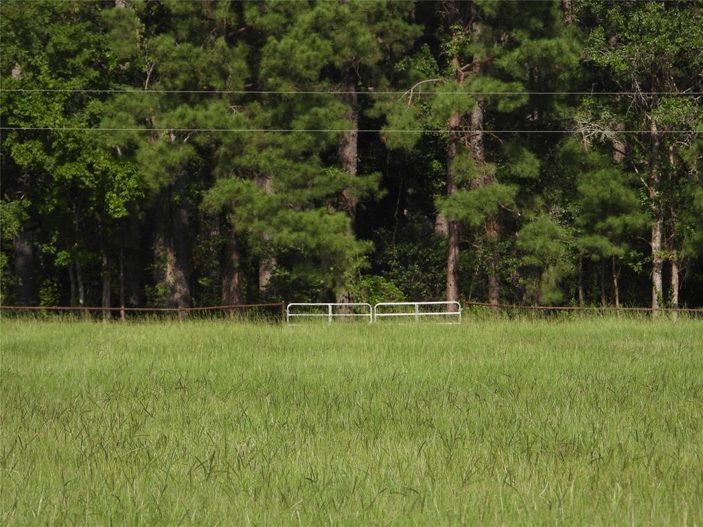 TBD 2 Bethel Road, Richards, Texas image 3
