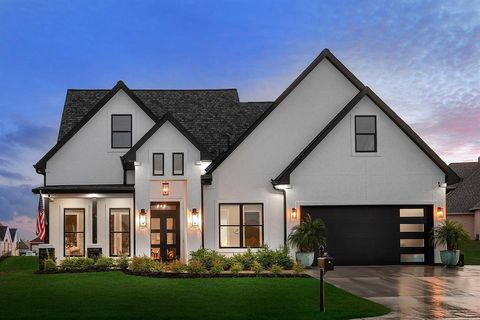 12595 St Louis Court Willis TX 77318