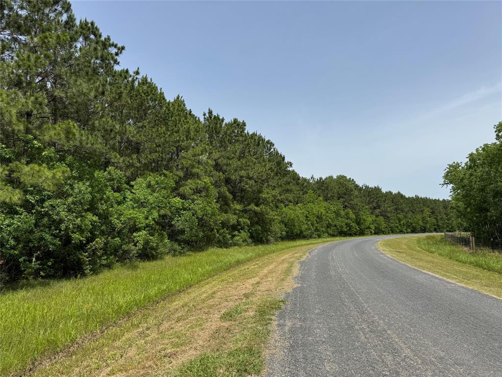 TBD A Dream Catcher Drive, Wallisville, Texas image 3