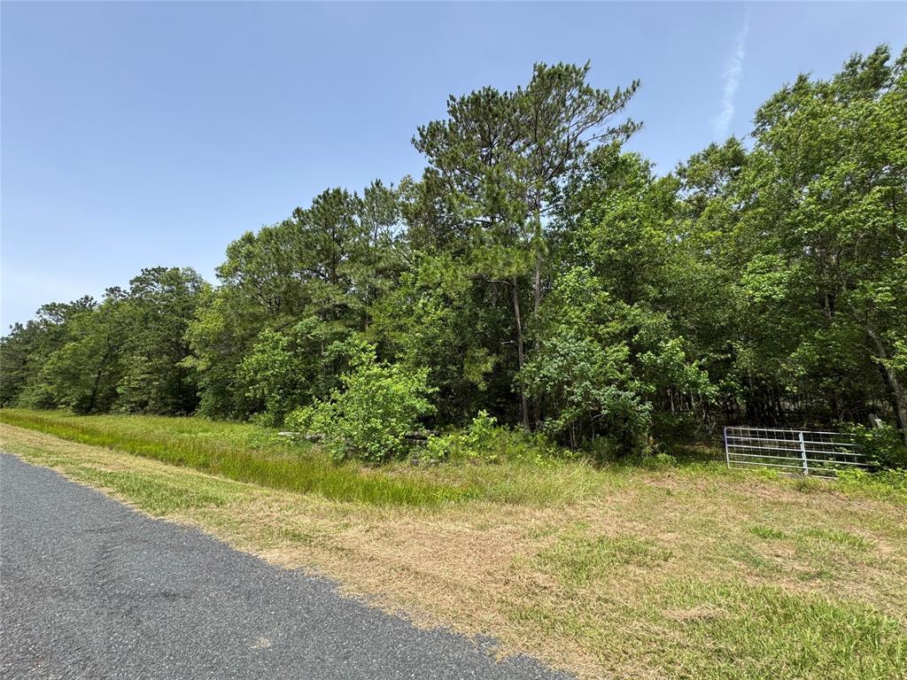 TBD A Dream Catcher Drive, Wallisville, Texas image 6
