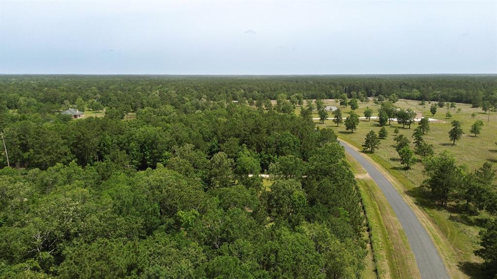 TBD A Dream Catcher Drive, Wallisville, Texas image 12