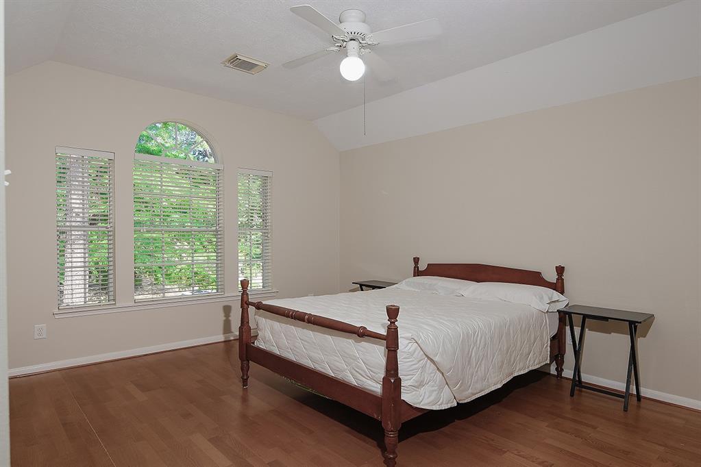 30 Merit Woods Place, The Woodlands, Texas image 19