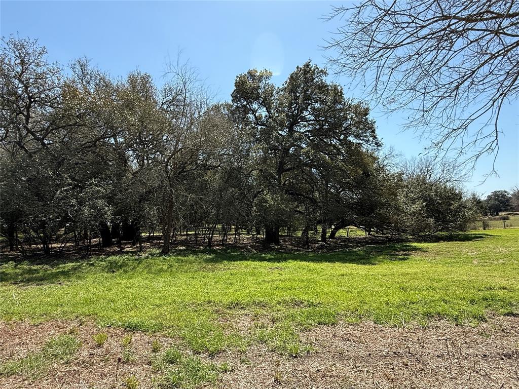8406 W County Line Road, Schulenburg, Texas image 9
