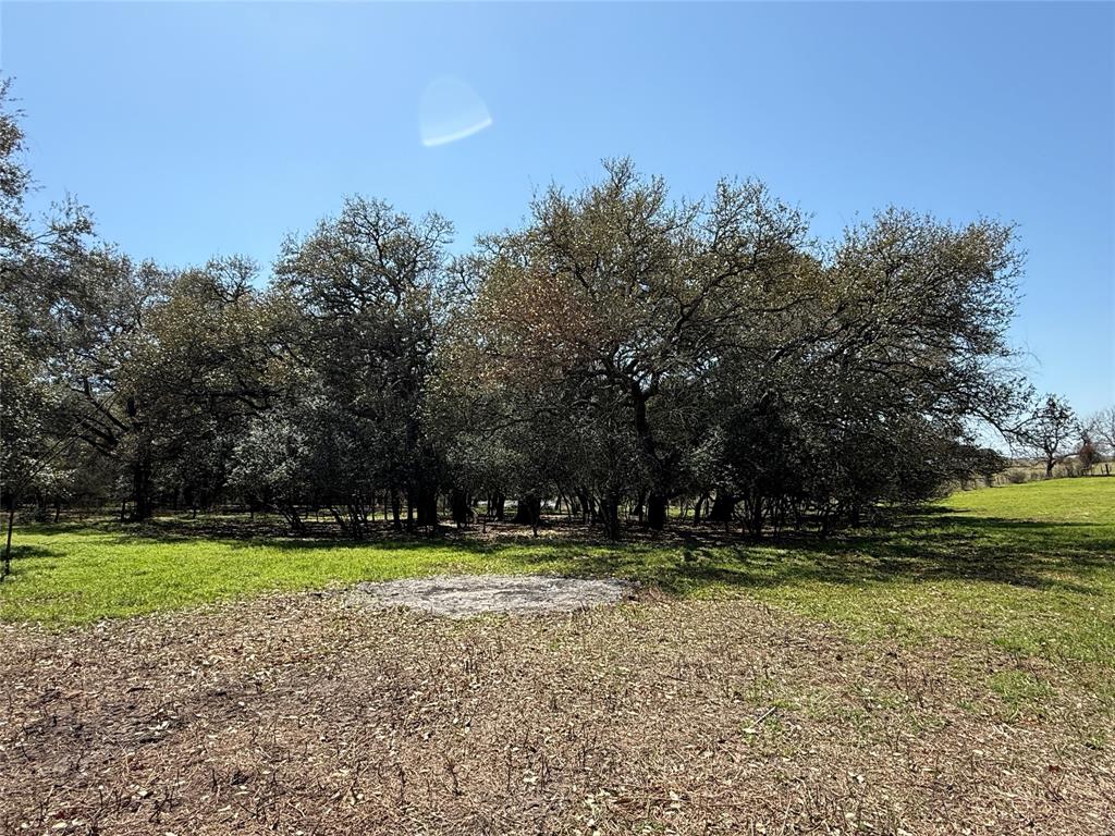 8406 W County Line Road, Schulenburg, Texas image 10
