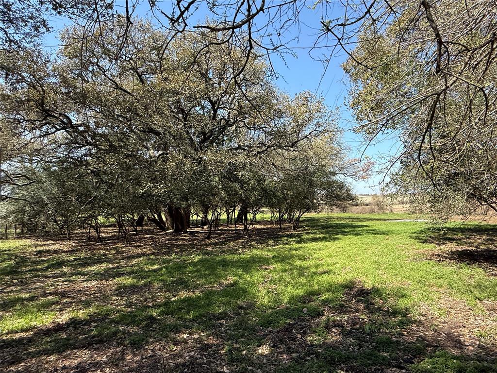 8406 W County Line Road, Schulenburg, Texas image 12