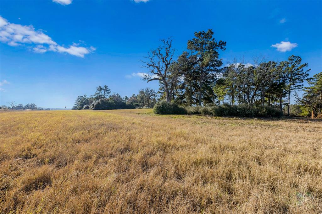 TBD Pr 1315, Centerville, Texas image 11