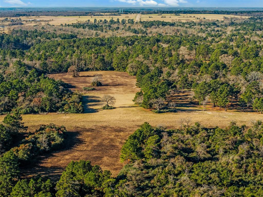 TBD Pr 1315, Centerville, Texas image 28