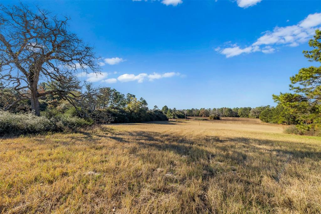 TBD Pr 1315, Centerville, Texas image 12