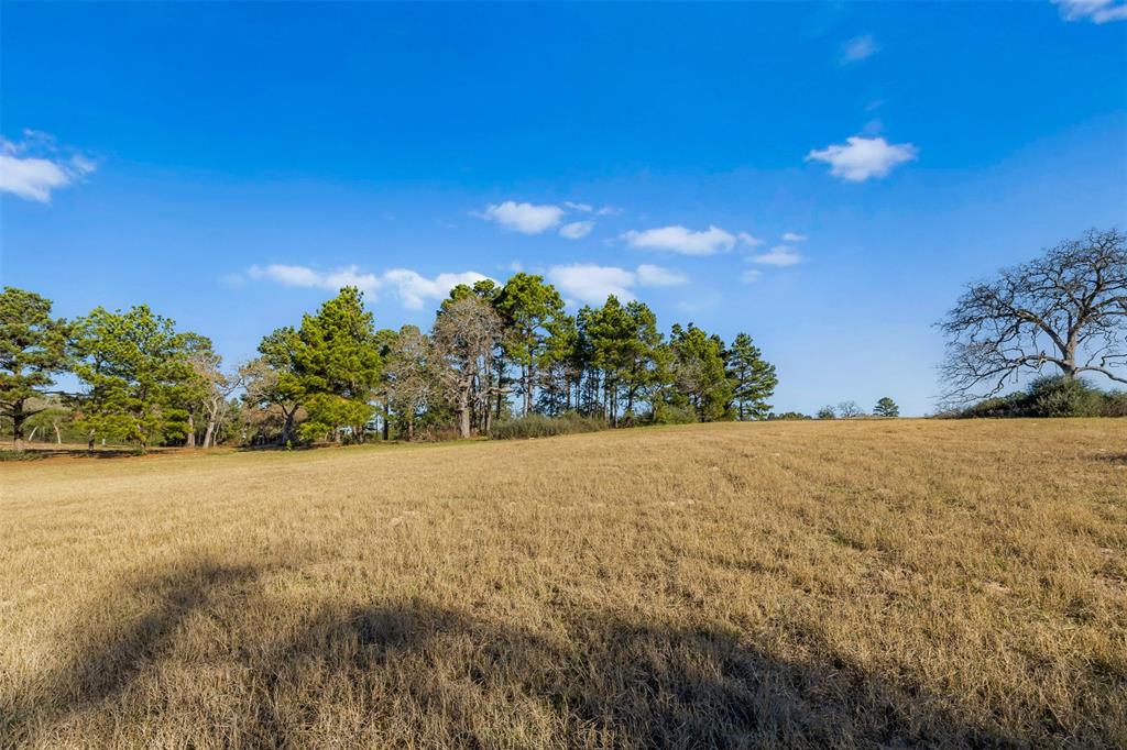 TBD Pr 1315, Centerville, Texas image 10