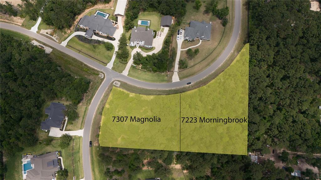 7223 Morningbrook Drive, Montgomery, Texas image 4