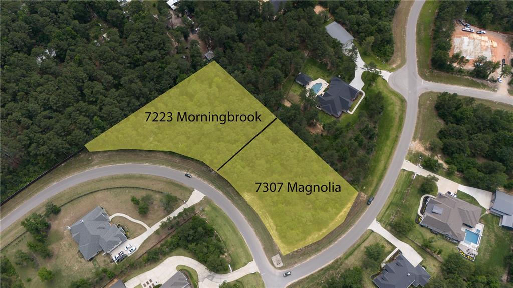 7223 Morningbrook Drive, Montgomery, Texas image 5