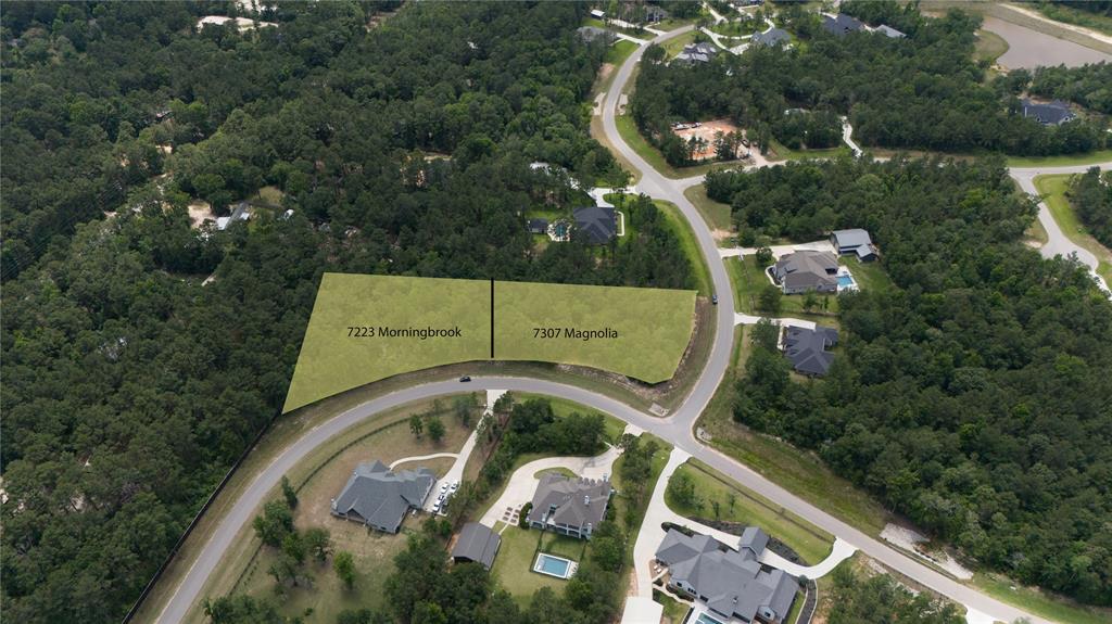 7223 Morningbrook Drive, Montgomery, Texas image 1