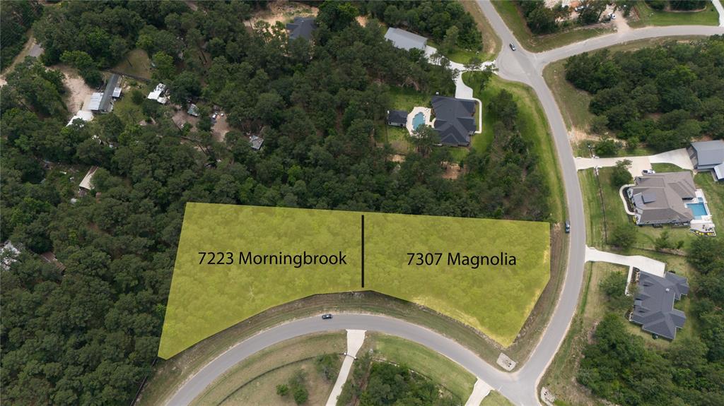 7223 Morningbrook Drive, Montgomery, Texas image 3