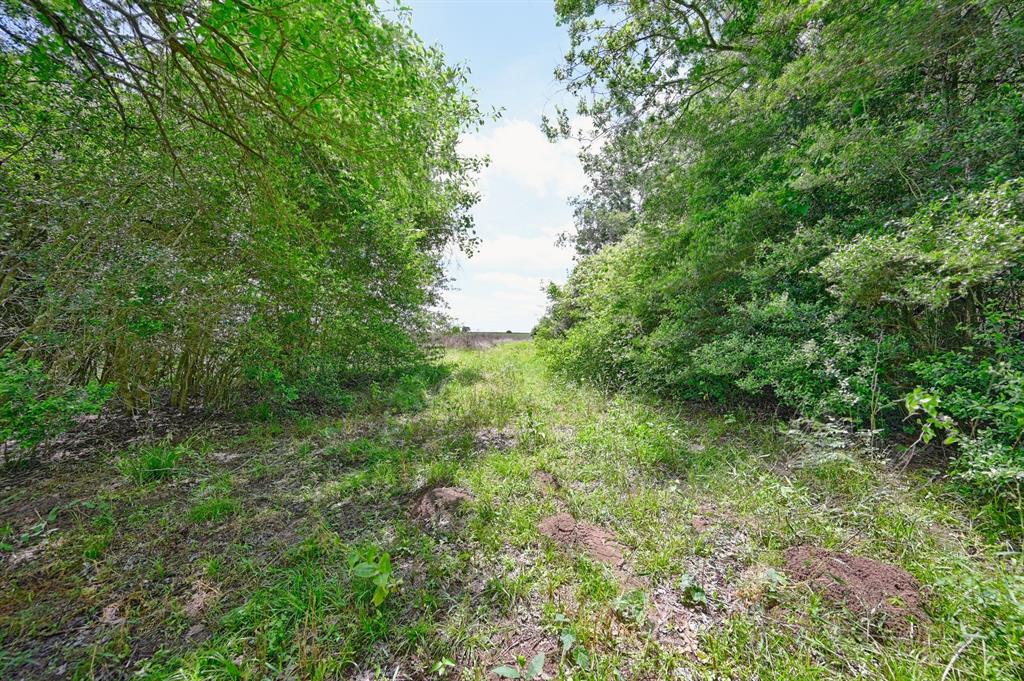 0000 Scranton Grove, Bellville, Texas image 9