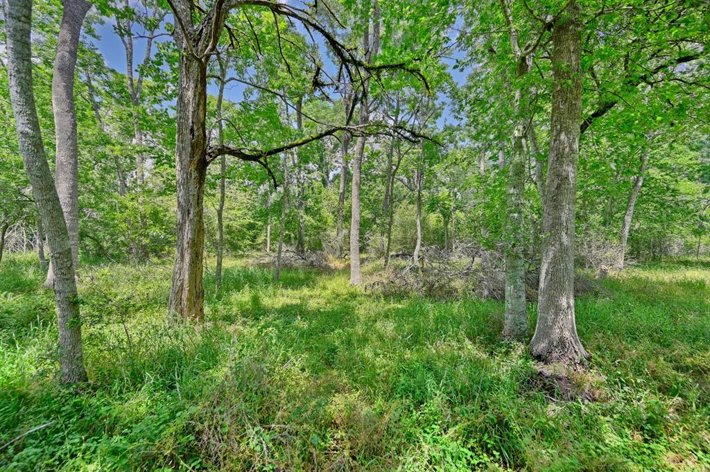 0000 Scranton Grove, Bellville, Texas image 16
