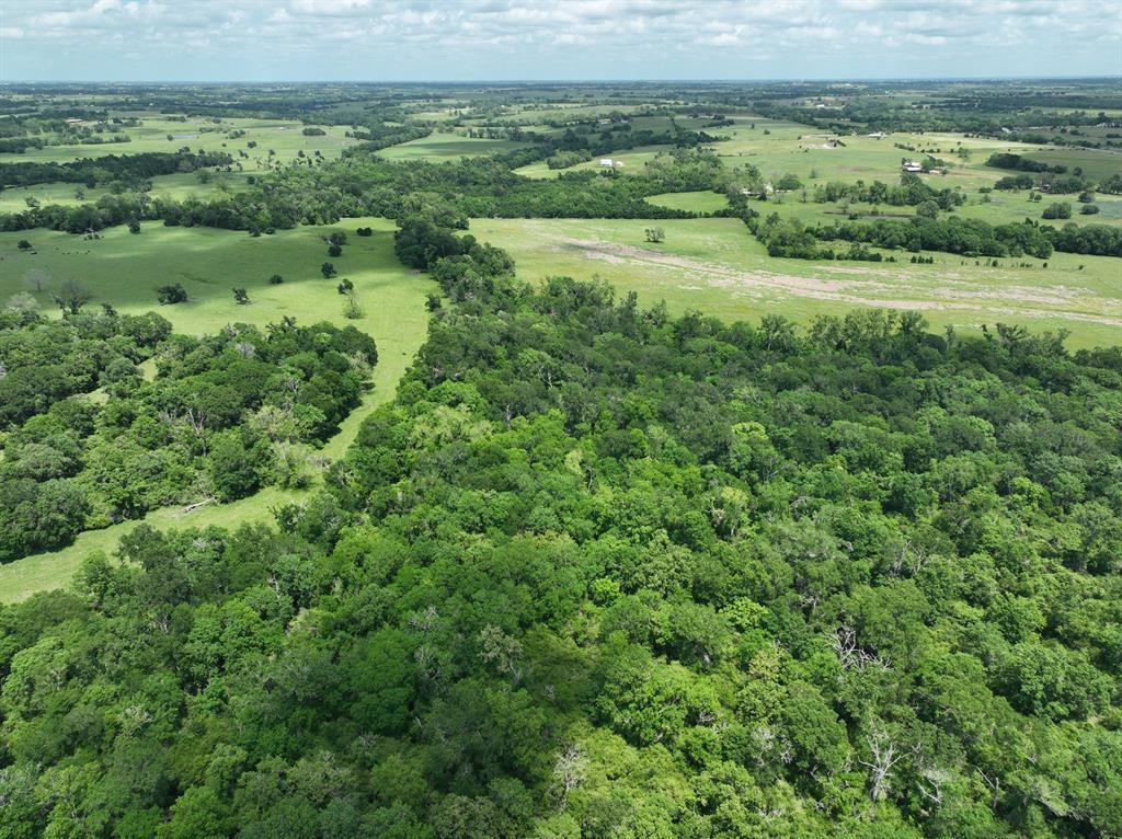 0000 Scranton Grove, Bellville, Texas image 18