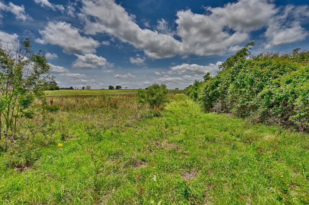 0000 Scranton Grove, Bellville, Texas image 7